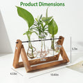 Desktop Glass Bulb Planter by DailySale