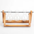 Desktop Glass Bulb Planter by DailySale