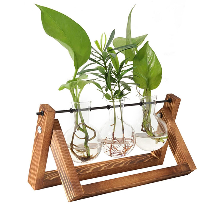 Desktop Glass Bulb Planter by DailySale