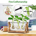 Desktop Glass Bulb Planter by DailySale