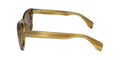 Diff 0198 Dean Sunglasses by ModaFrames