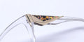 Diva Trend 8134 Eyeglasses by ModaFrames