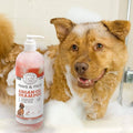 Dog Argan Shampoo-Conditioner - 20oz Clinical Vet Formula Wash by DailySale