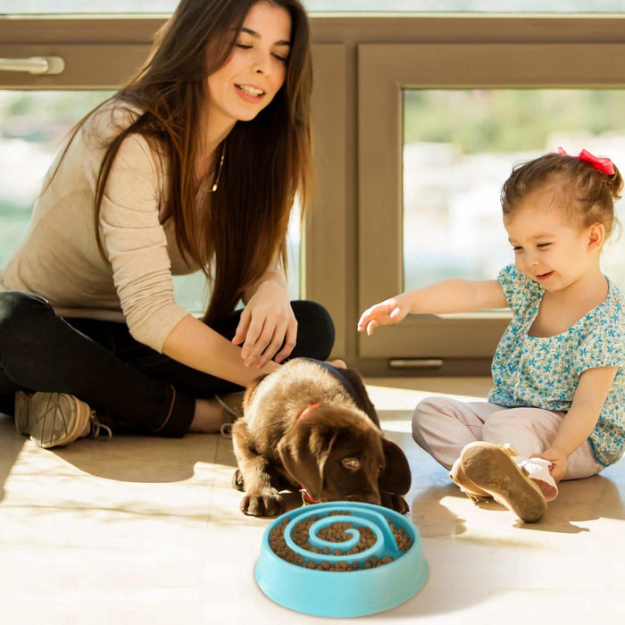 Dog Cat Slow Feeder Bowl by DailySale