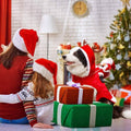 Dog Costume Christmas Pet Clothes by DailySale