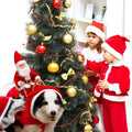 Dog Costume Christmas Pet Clothes by DailySale