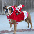 Dog Costume Christmas Pet Clothes by DailySale