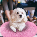 Dog Cozy Nest Sofa Bed Cushion by DailySale