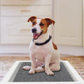 Dog Pee Training Pads Super Absorbent by DailySale
