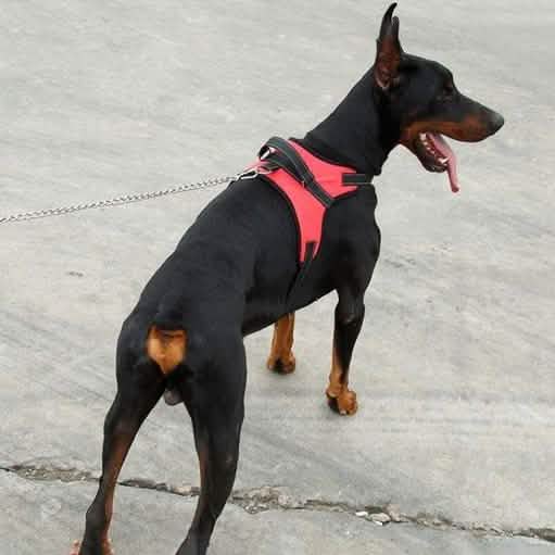 Dog Soft Adjustable Harness by DailySale