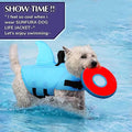 Dog Swimsuit with Shark Fin by DailySale