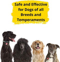 Dogtra YS600 No Bark Collar (Refurbished) by DailySale