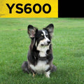 Dogtra YS600 No Bark Collar (Refurbished) by DailySale