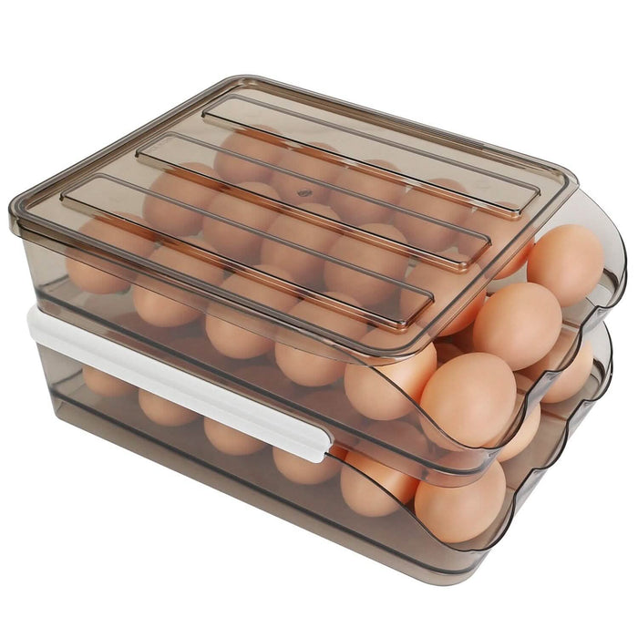 Double Layer Egg Storage for Refrigerator by DailySale