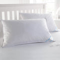 2-Pack: Beauty Sleep 100% Cotton-Covered Duck Feather Pillows by DailySale