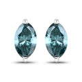0.69 Carat Genuine Blue Diamond 14K White Gold Earrings by Bids.com