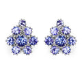 4.26 Carat Genuine Tanzanite .925 Sterling Silver Earrings by Bids.com