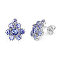 4.26 Carat Genuine Tanzanite .925 Sterling Silver Earrings by Bids.com