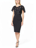 Ralph Lauren Embroidered Petal Sleeve Jewel Neck Sheath Dress, Size 8P by Vanessa Jane