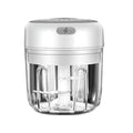 Electric Garlic Mini Crusher by DailySale