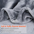 Electric Heated Throw Flannel Heated Blanket by DailySale