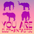 Elephant Lover Gift Box Set by Dear Ava