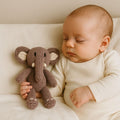 Knit Buddy | Peanut the elephant by Finn + Emma