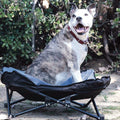 Elevated Camping Pet Bed Medium by DailySale