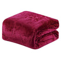 Embossed Premium Flannel Fleece Blanket - Eiffel Tower Design by DailySale