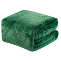 Embossed Premium Flannel Fleece Blanket - Eiffel Tower Design by DailySale