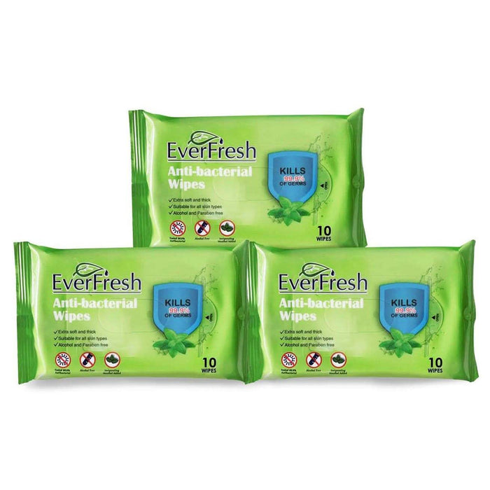 Everfresh Anti-Bacterial Wipes by DailySale