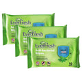 Everfresh Anti-Bacterial Wipes by DailySale
