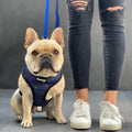 Extra-Furrestrial Reversible Harness by Pawmigo