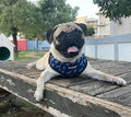 Extra-Furrestrial Reversible Harness by Pawmigo