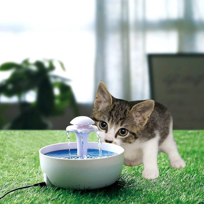 Ez Pet Automatic Water Fountain for Pets by DailySale