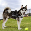 Ez-Pet Vest Collar Soft Adjustable Harness