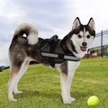 Ez-Pet Vest Collar Soft Adjustable Harness by DailySale