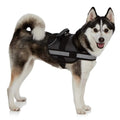 Ez-Pet Vest Collar Soft Adjustable Harness by DailySale
