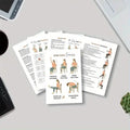30-Day Chair Yoga Notebook | 15-Min Daily Workouts & Guide by DailySale