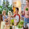 Face Planters Pots Unique Head Planter by DailySale