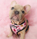 Fairytail Reversible Harness by Pawmigo