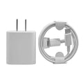 Fast USB-C to Lightning Cable and 20W Adapter by DailySale