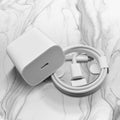 Fast USB-C to Lightning Cable and 20W Adapter by DailySale