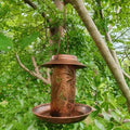 Feeder Exterior Solar Powered Lights Exterior Hanging Solar Powered Lights by DailySale