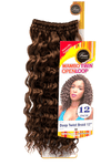Femi Collection Mambo Twin Open Loop Deep Twist Braid Hair 12" Color 30