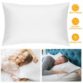 Fiber Filled Down Alternative Pillow by DailySale