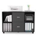 File Cabinet 2 Drawers Wooden Lateral Filling Cabinet by DailySale