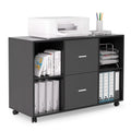 File Cabinet 2 Drawers Wooden Lateral Filling Cabinet by DailySale