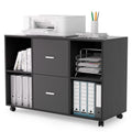 File Cabinet 2 Drawers Wooden Lateral Filling Cabinet by DailySale