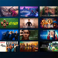 Amazon Fire TV Stick Lite Streaming Media Player by DailySale